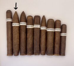 Intemperance BA XXI Gran Perfecto