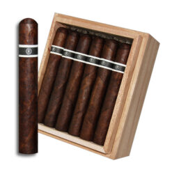 RoMa Craft CroMagnon PA Cranium