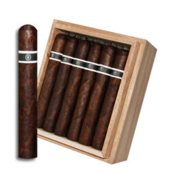 RoMa Craft CroMagnon PA Cranium