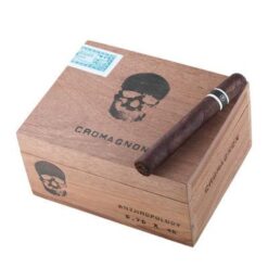 RoMa Craft CroMagnon Anthropology 