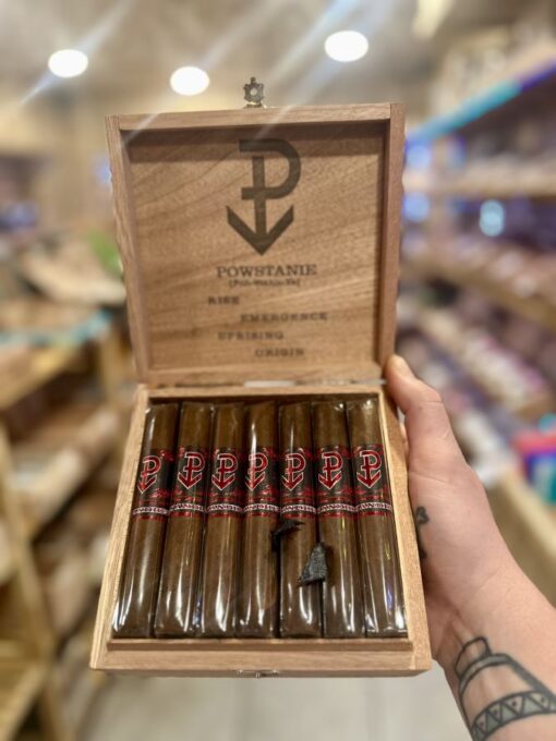 Powstanie San Andreas Toro