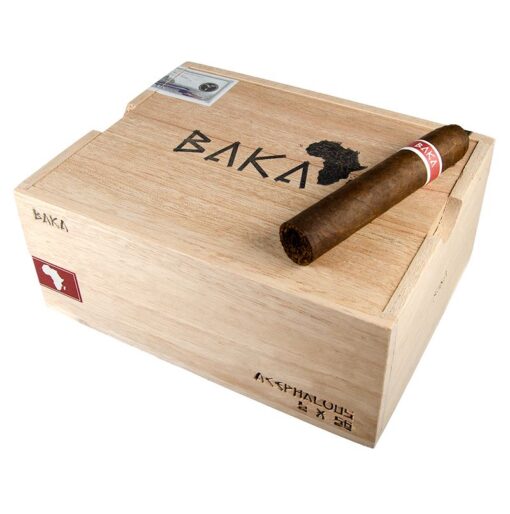 RoMa Craft Baka Acephalous